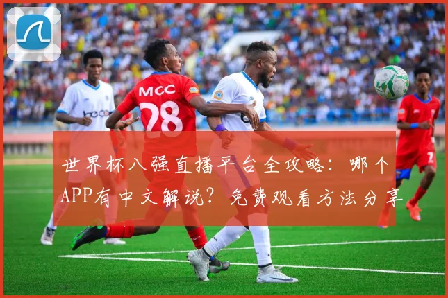 世界杯八强直播平台全攻略:哪个APP有中文解说?免费观看方法分享