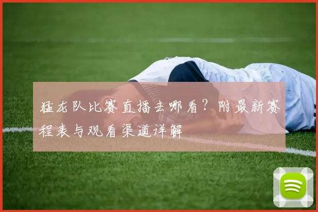 猛龙队比赛直播去哪看？附最新赛程表与观看渠道详解